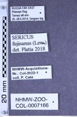 Etiketten zu Sericus fujisanus (Lewis, 1894) (NHMW-ZOO-COL-0007166)